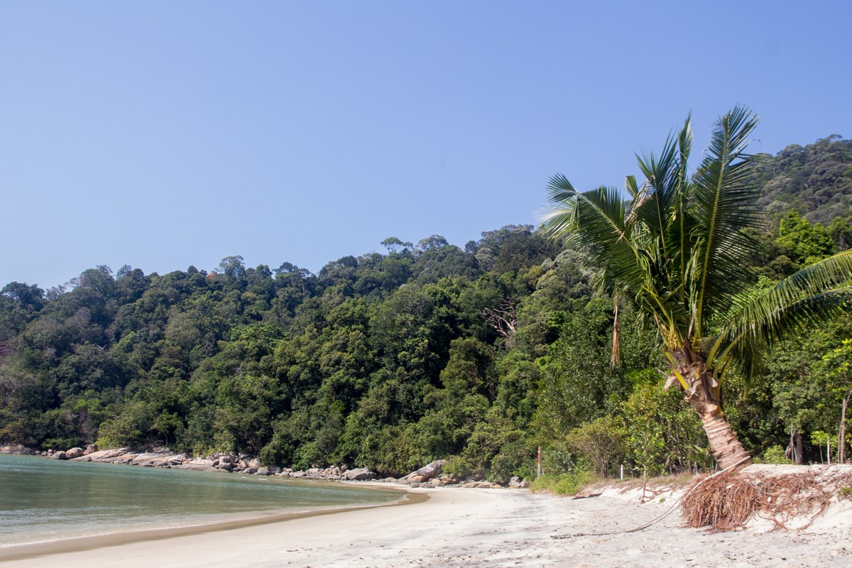 Pasir Buaya