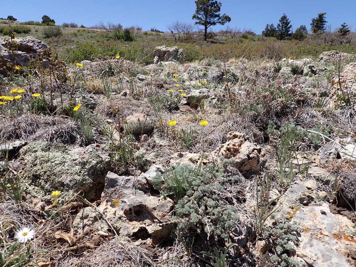 South Sandia Peak