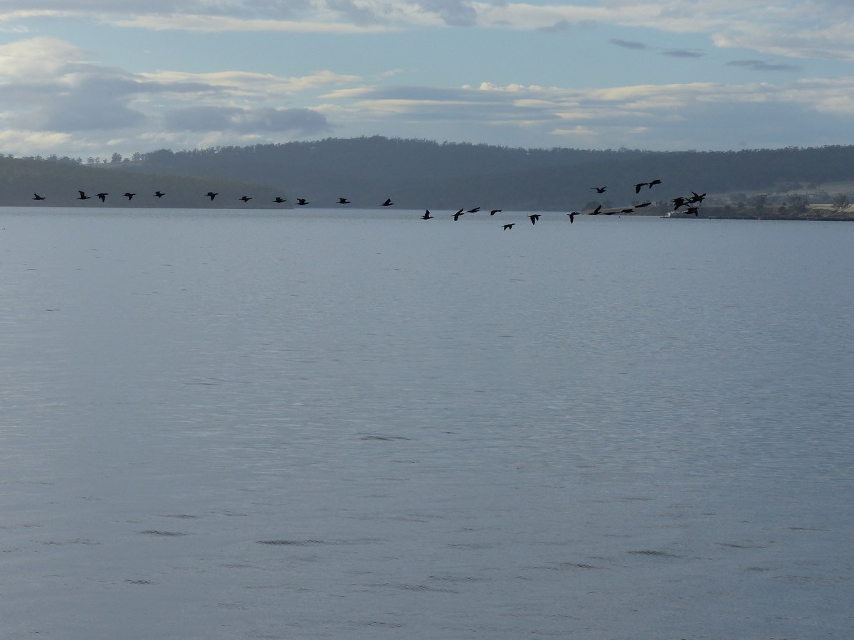Blackstone Beach
