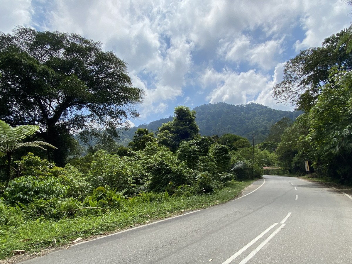 Bukit Chorocho
