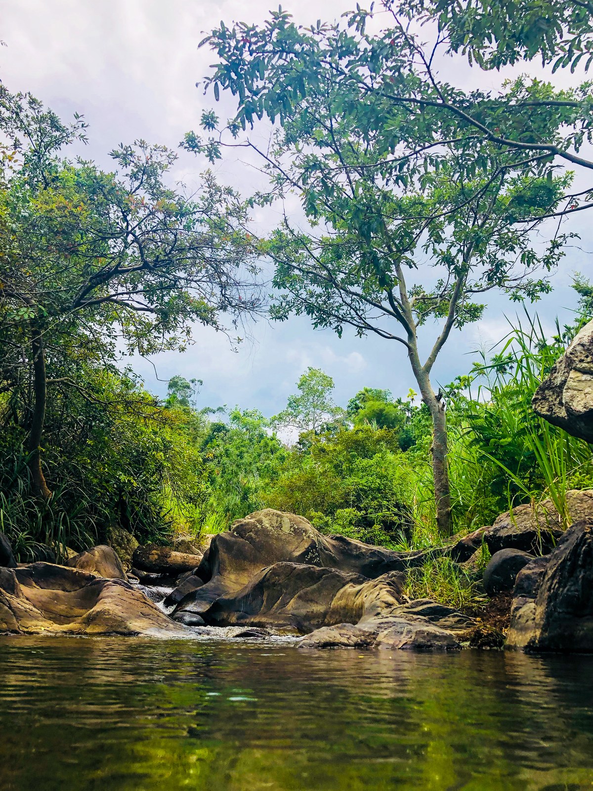 Boragahamada