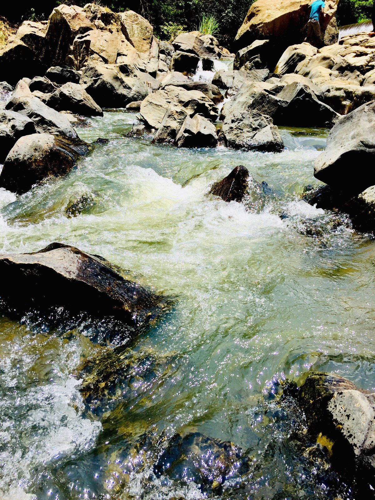 Lunuwelikota