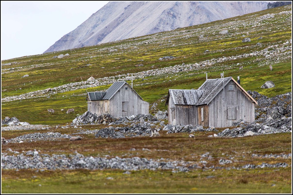 Ingeborgfjellet