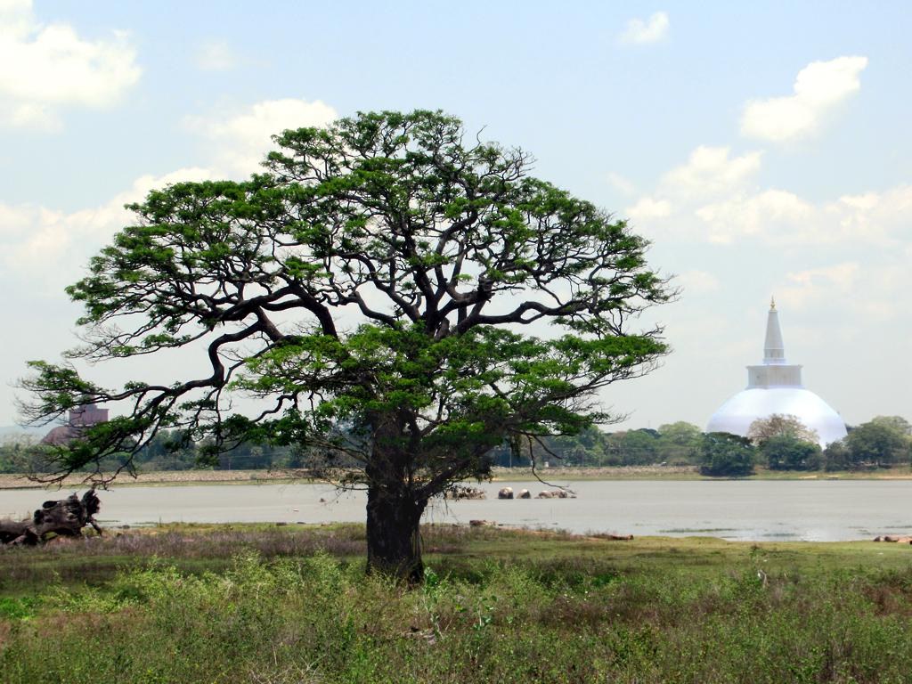 Bassawak reservoir