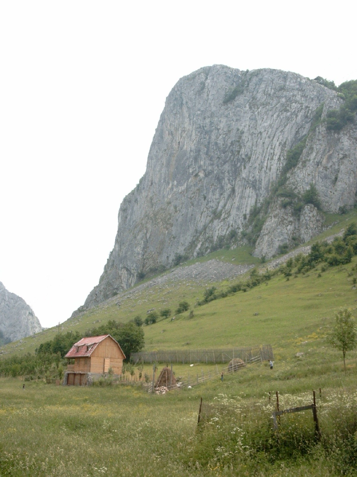 Vlădeasa Mountains