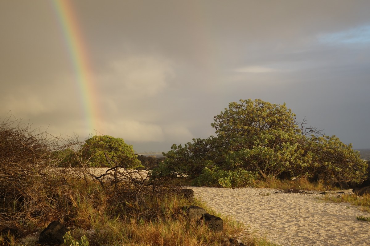 Wawaloli Beach