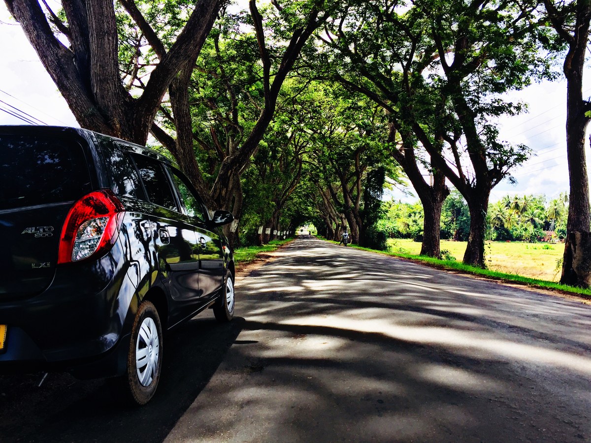 Bellankadawala Wewa