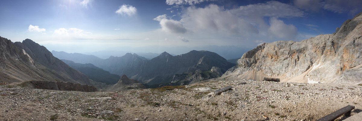 Rž