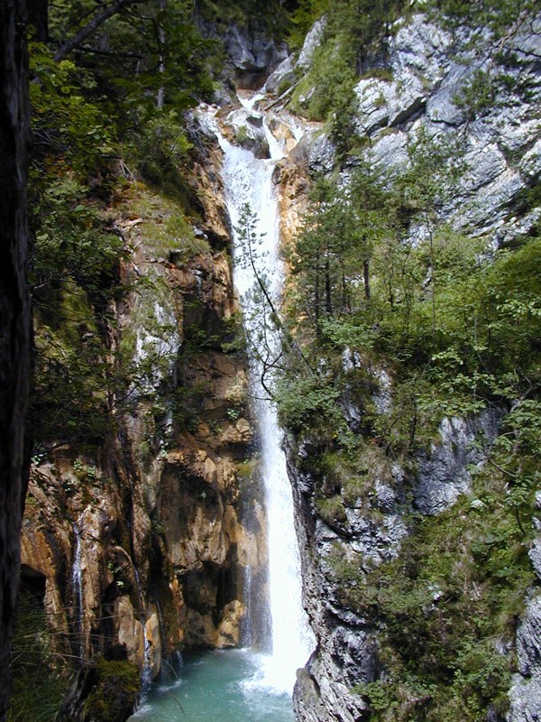 Tschaukofall