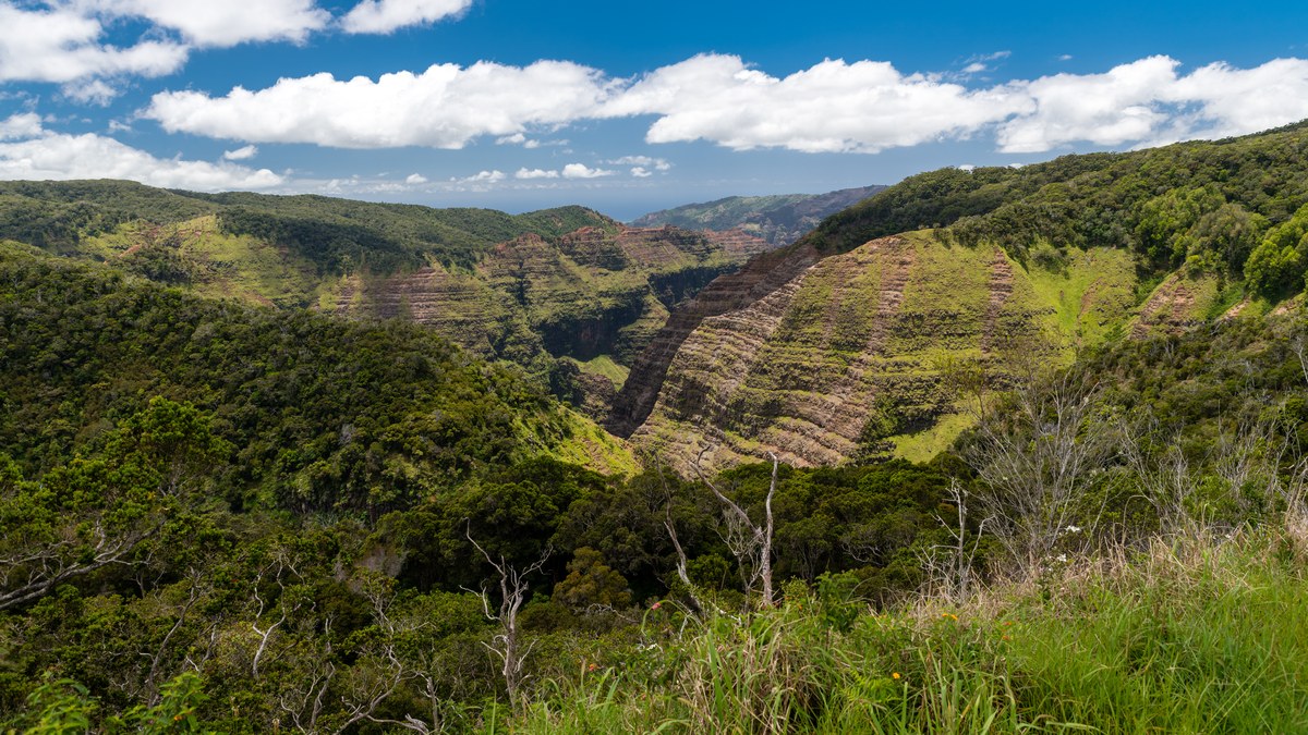 Mōhihi Falls