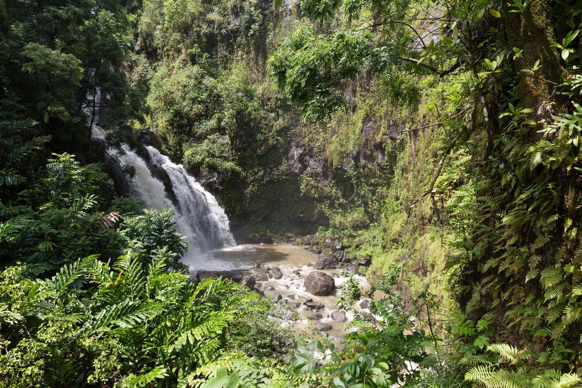 Lower Waikani Falls