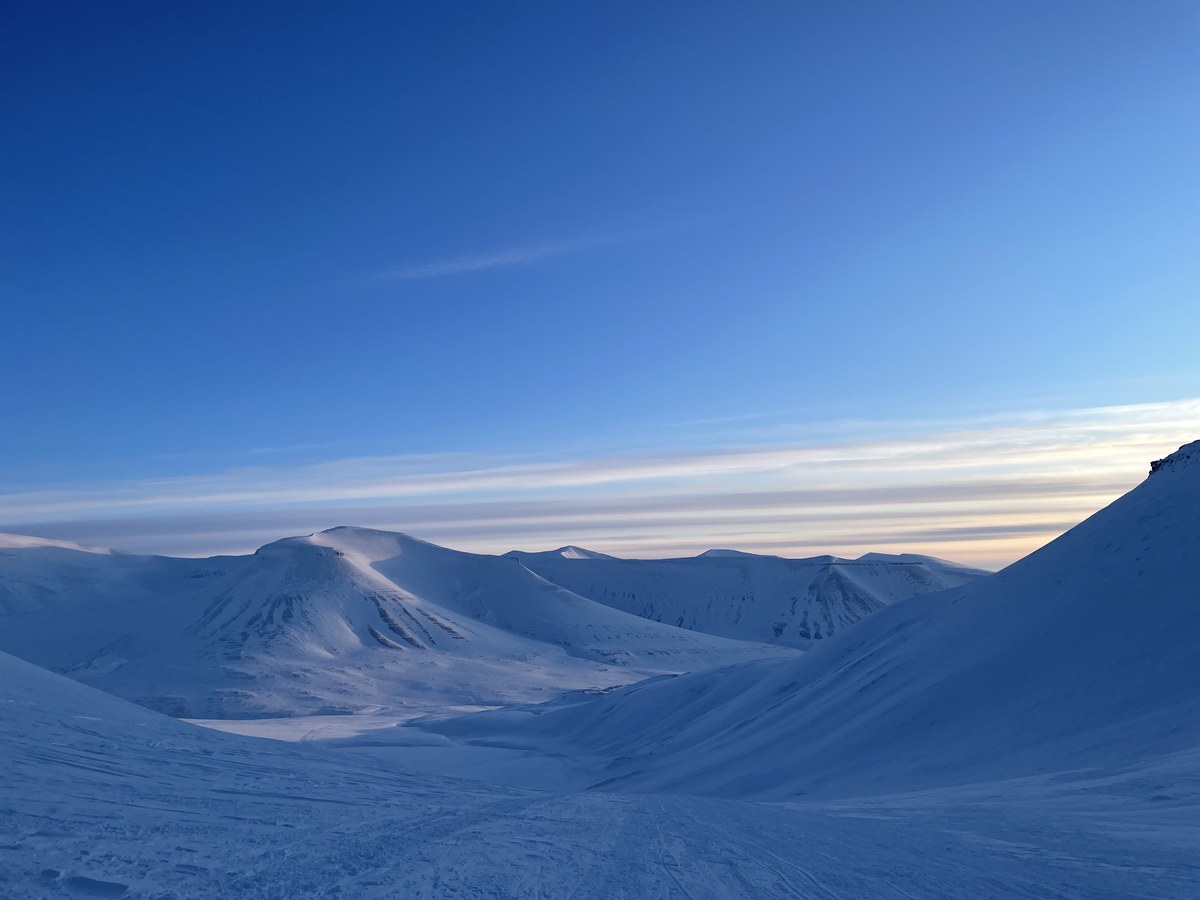 Dryadebreen
