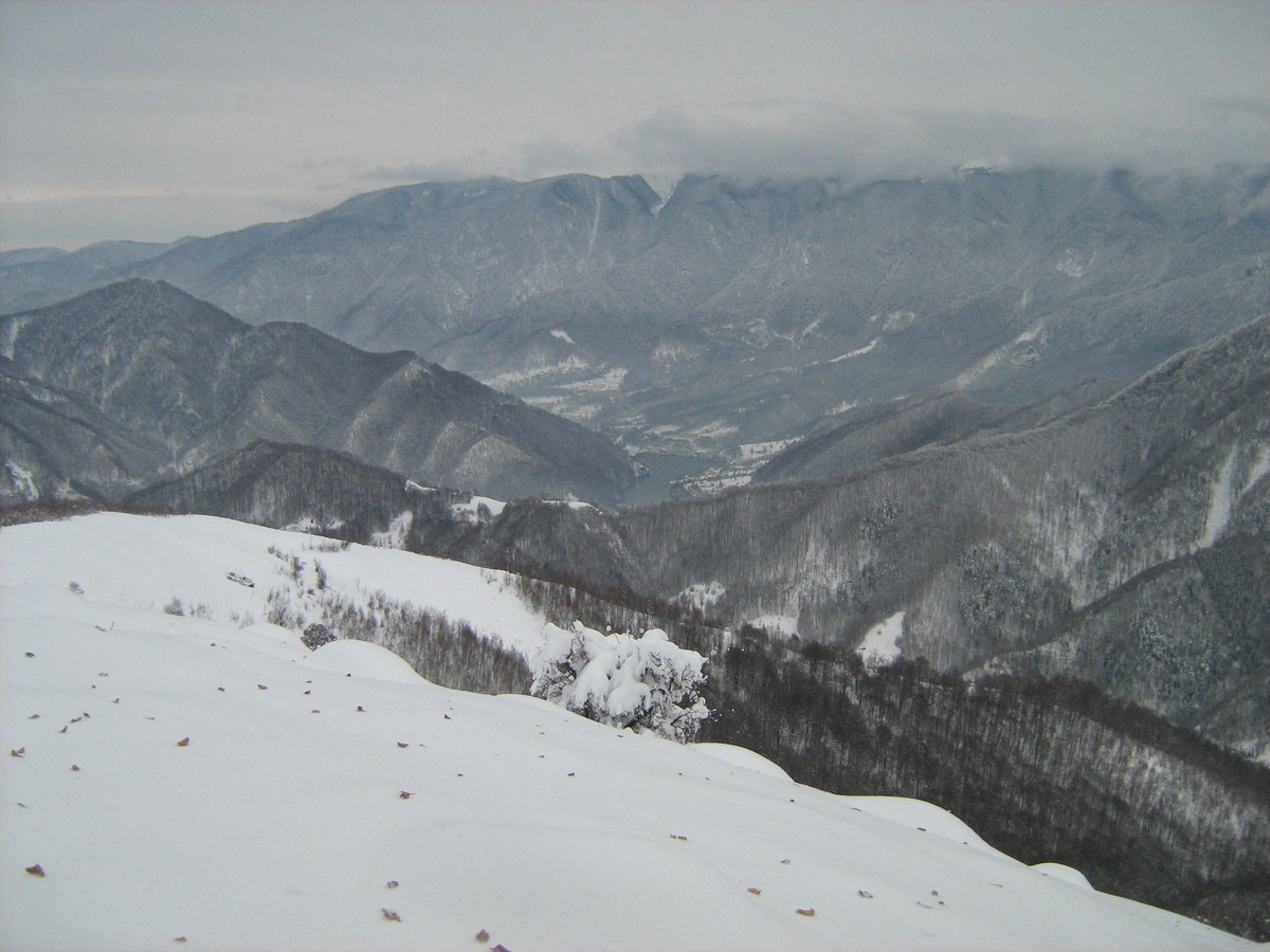 Vârful Malaia