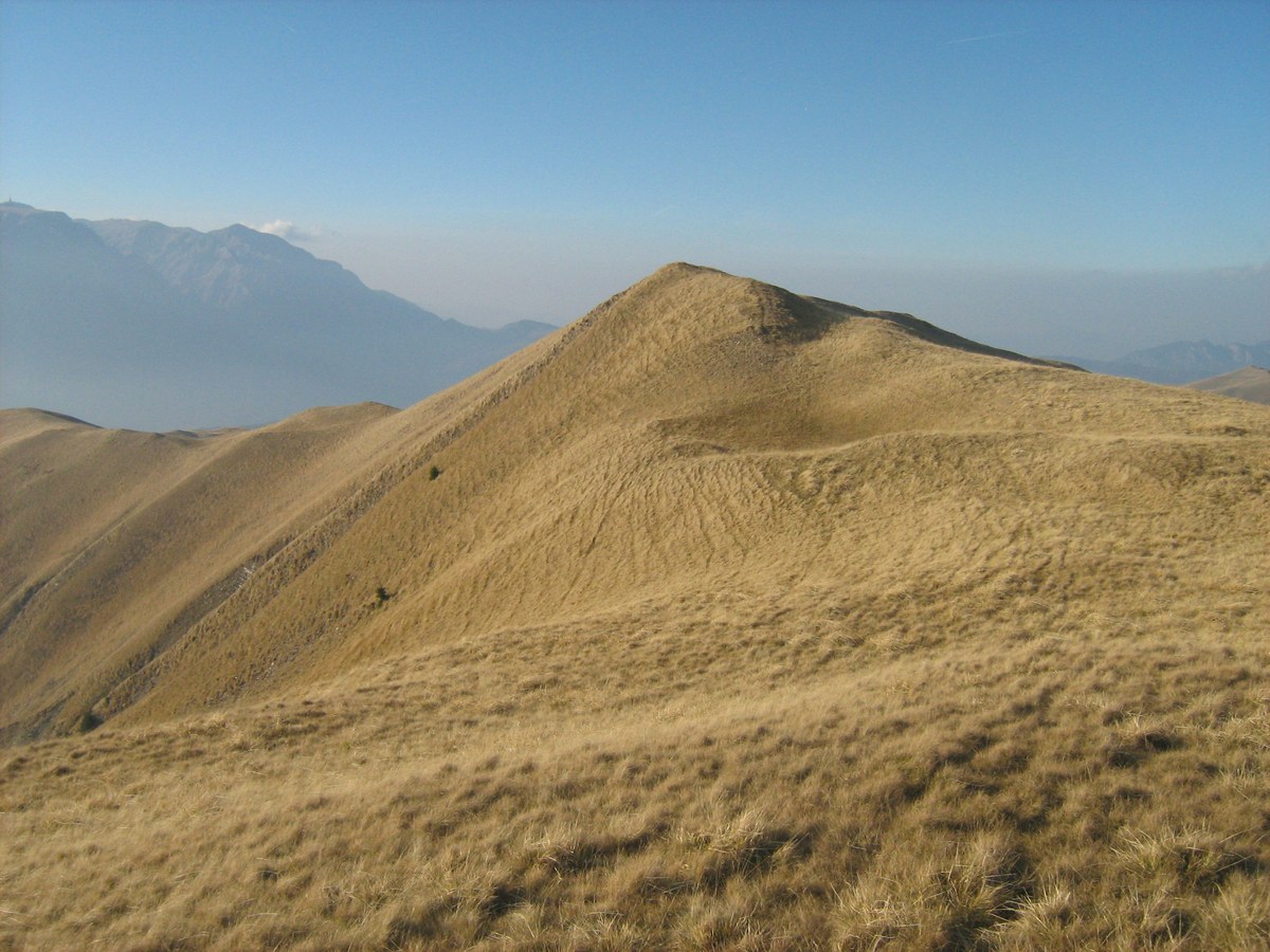 Muntele Baiul