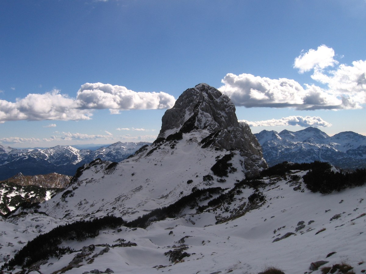 Tičarica