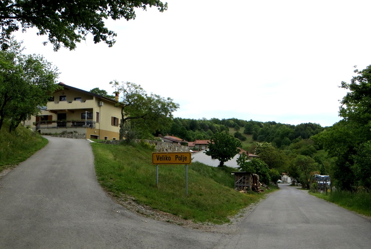 Ter