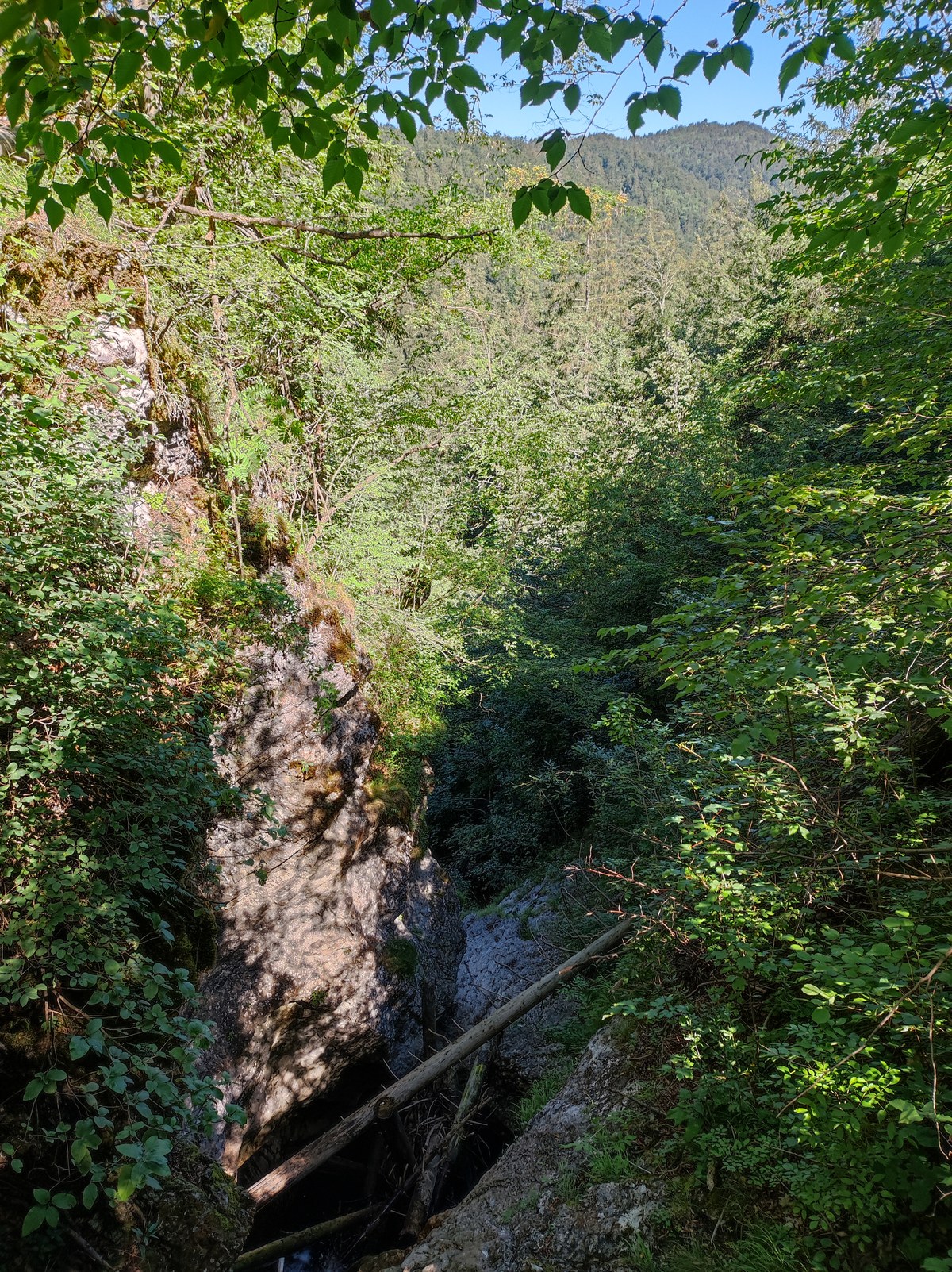 Vinji vrh