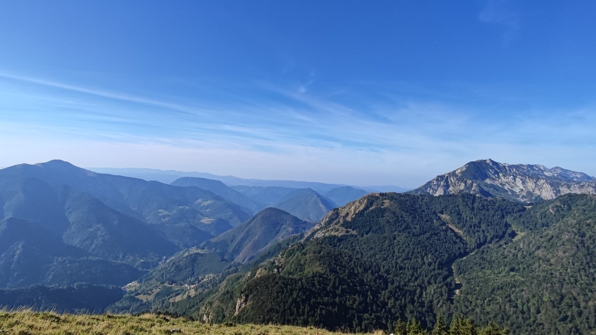 Šavnik