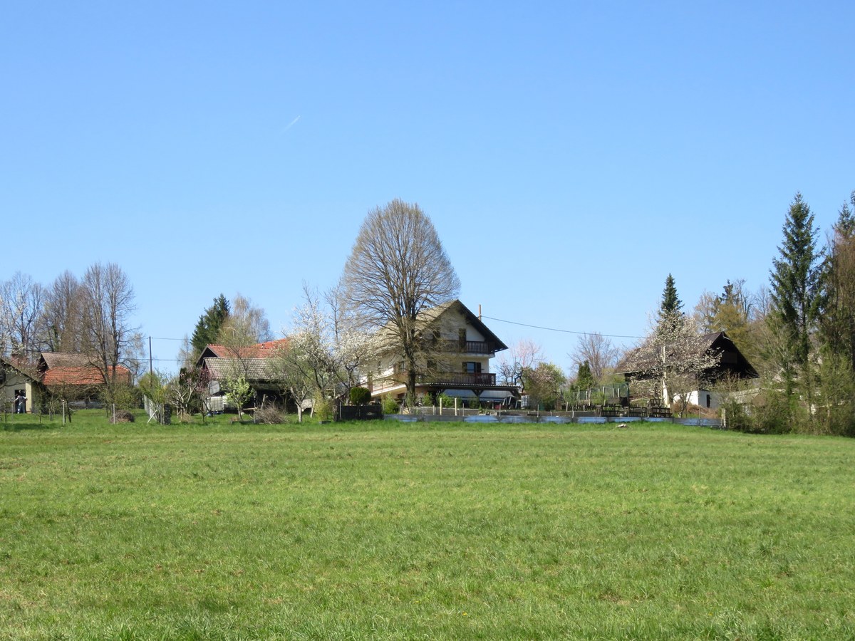 Limberk