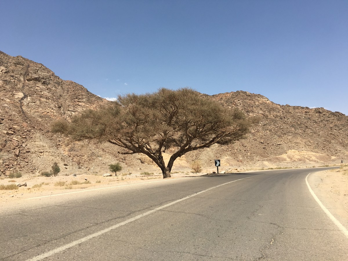 Al Buwayb