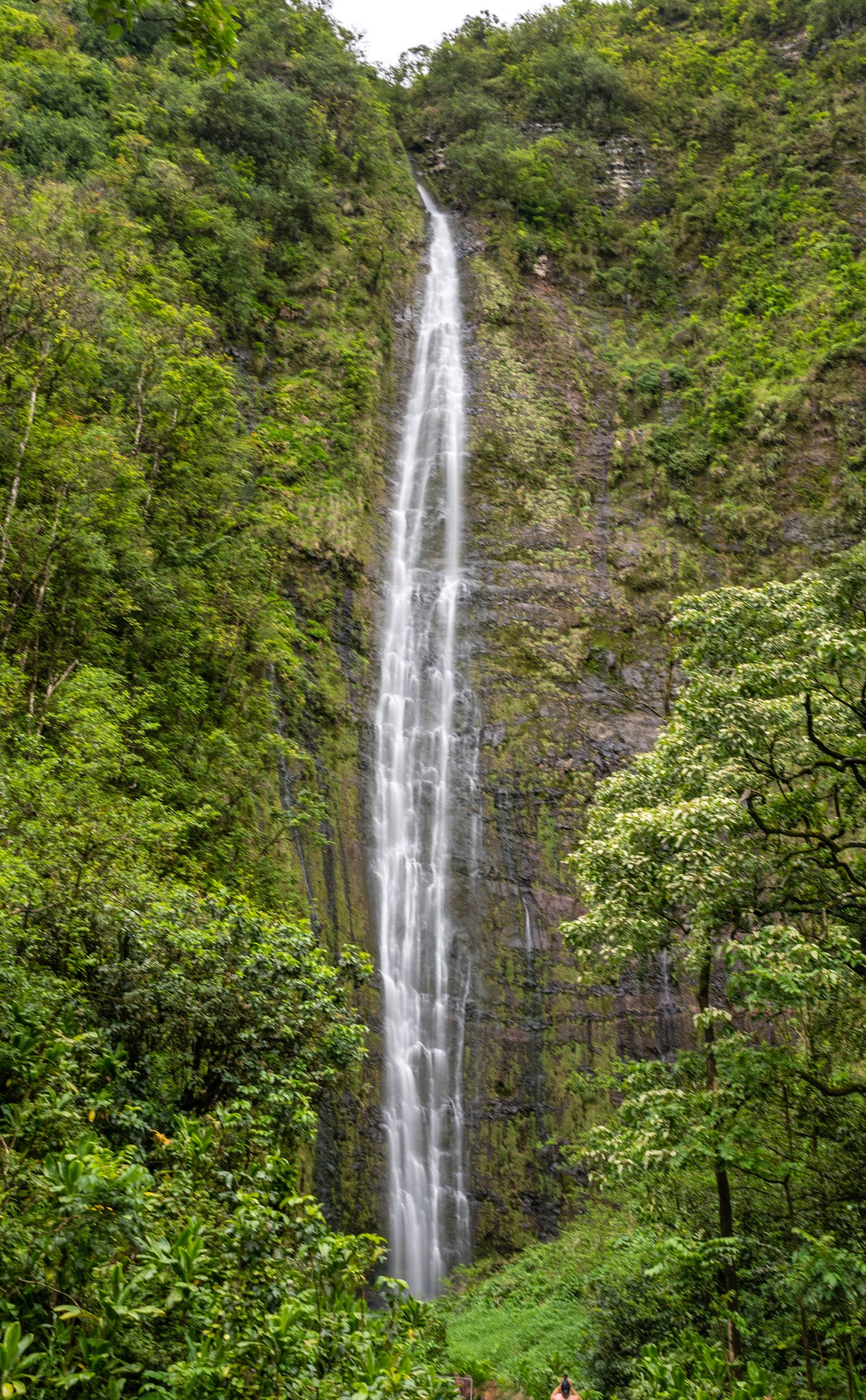 Waimoku Falls