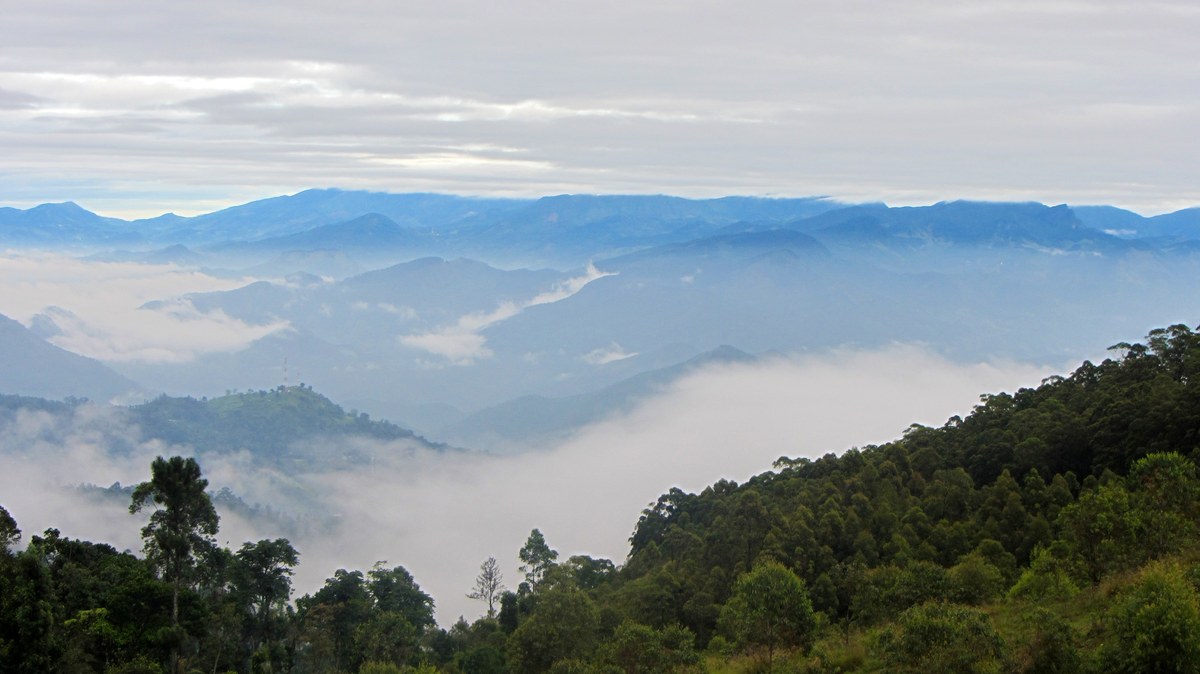 Holiakotuwepatana