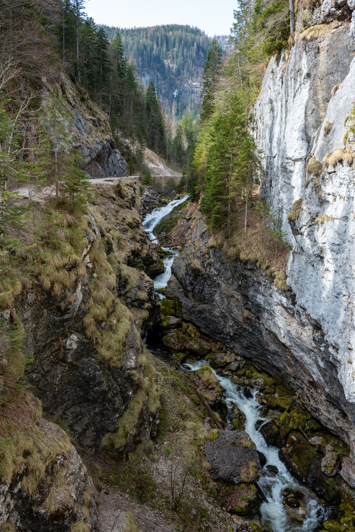 Waldbachstrub