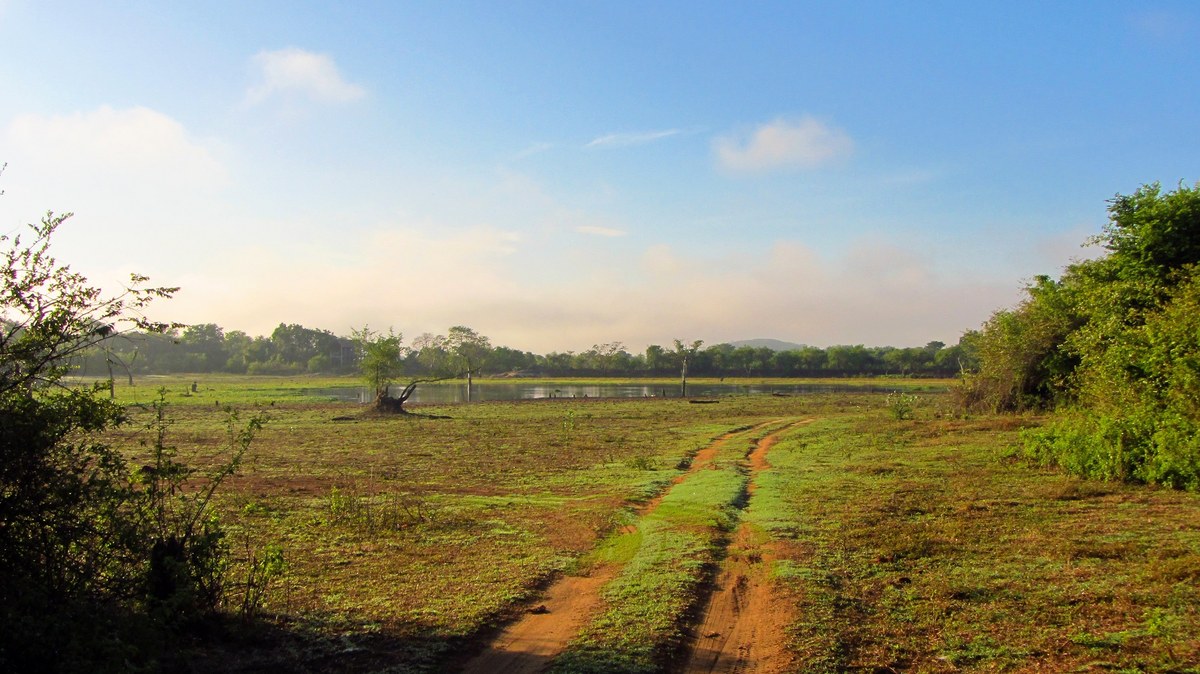 Wasgamuwa National Park