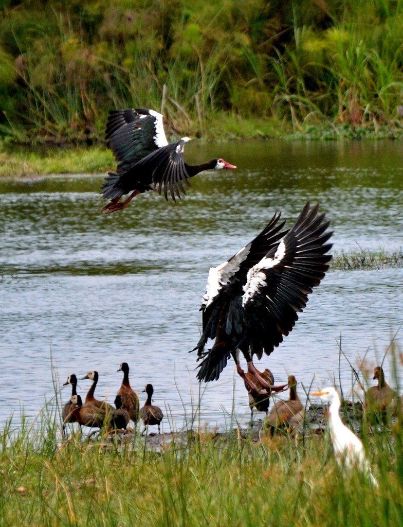 Lake Mihindi