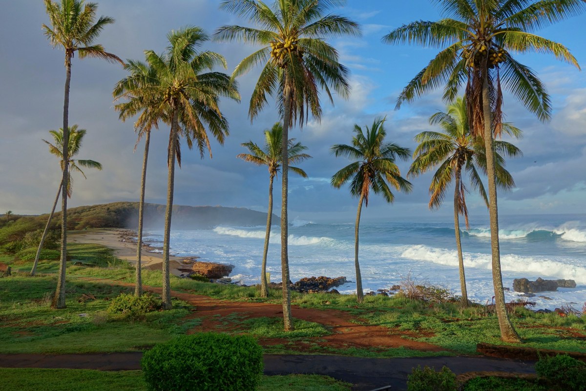 Kaʻa