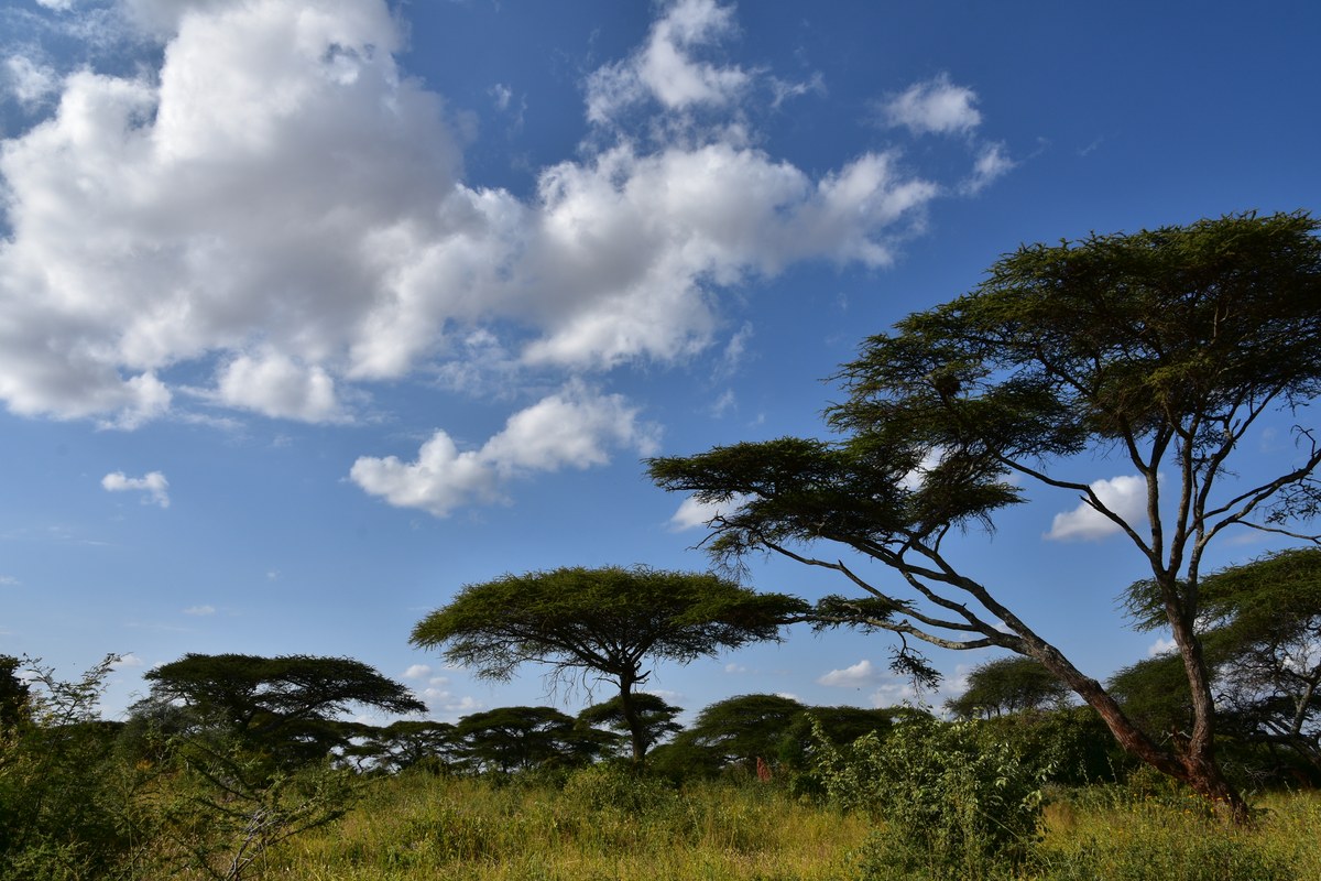 Yabelo Wildlife Sanctuary