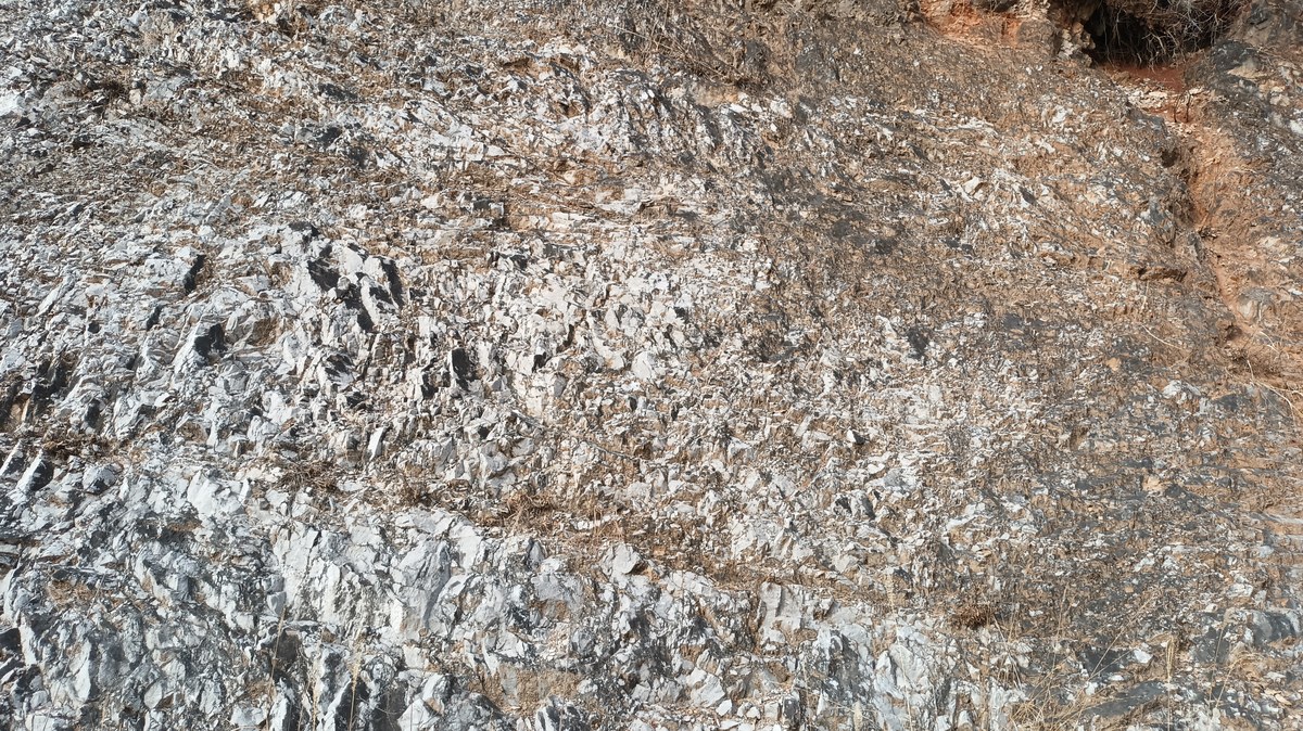 Paegori-gul