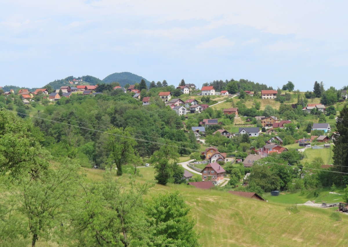 Gozdnik