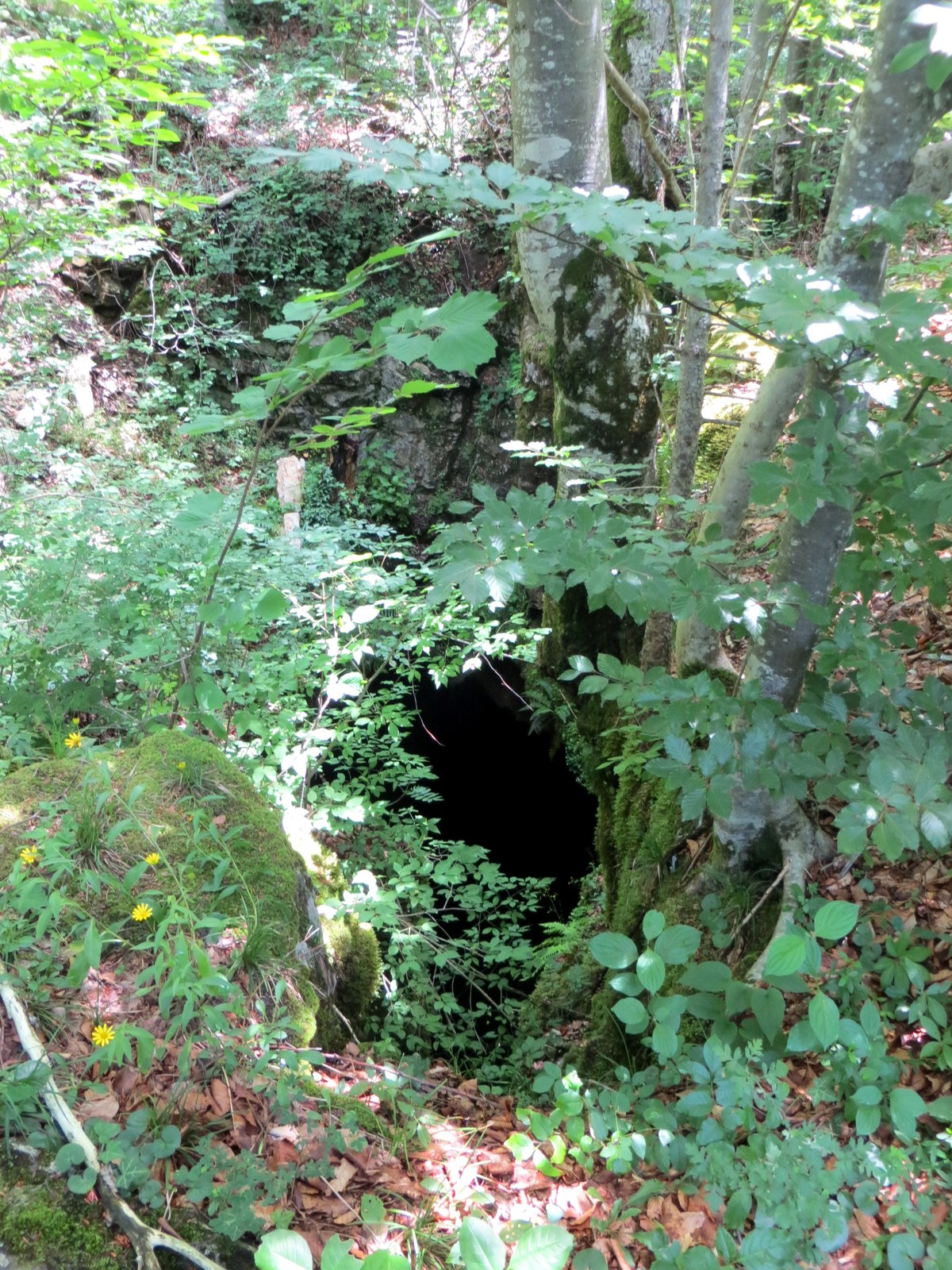 Žiglovica