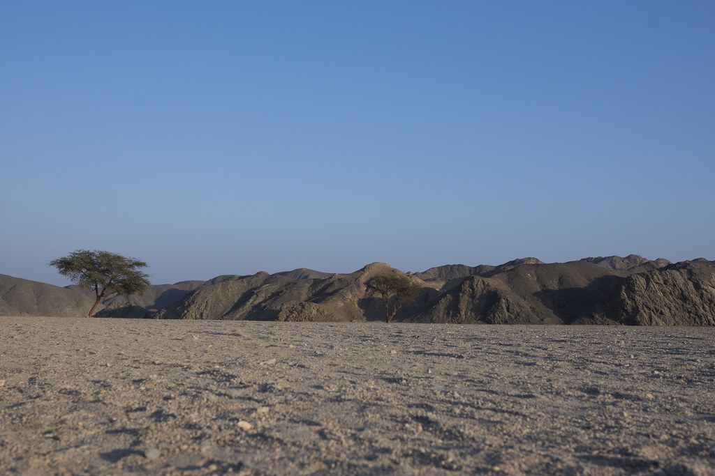 Jabal Umm Naqqāţ