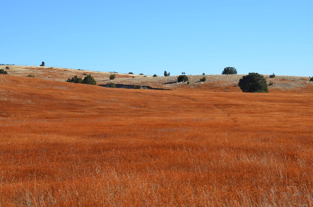 Mogollon-Datil volcanic field