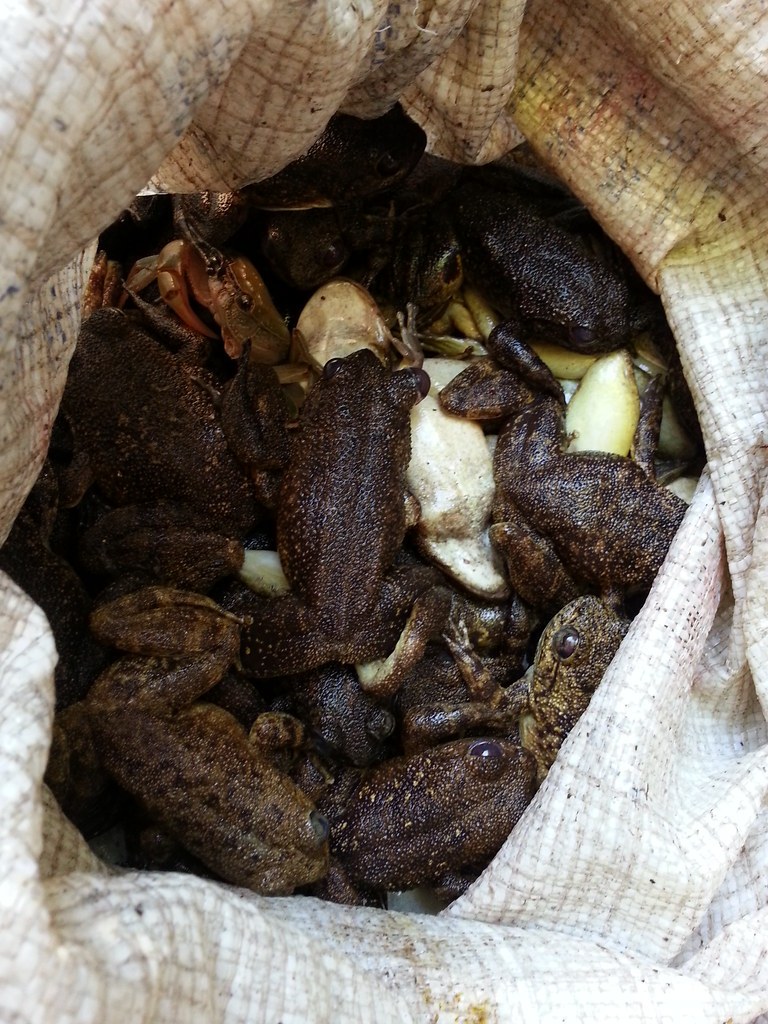 Manarikoba