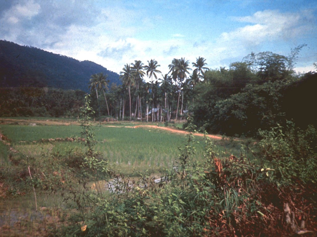 Bukit Pak Melara