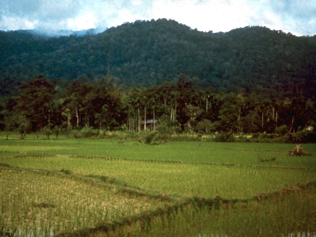 Bukit Bihong