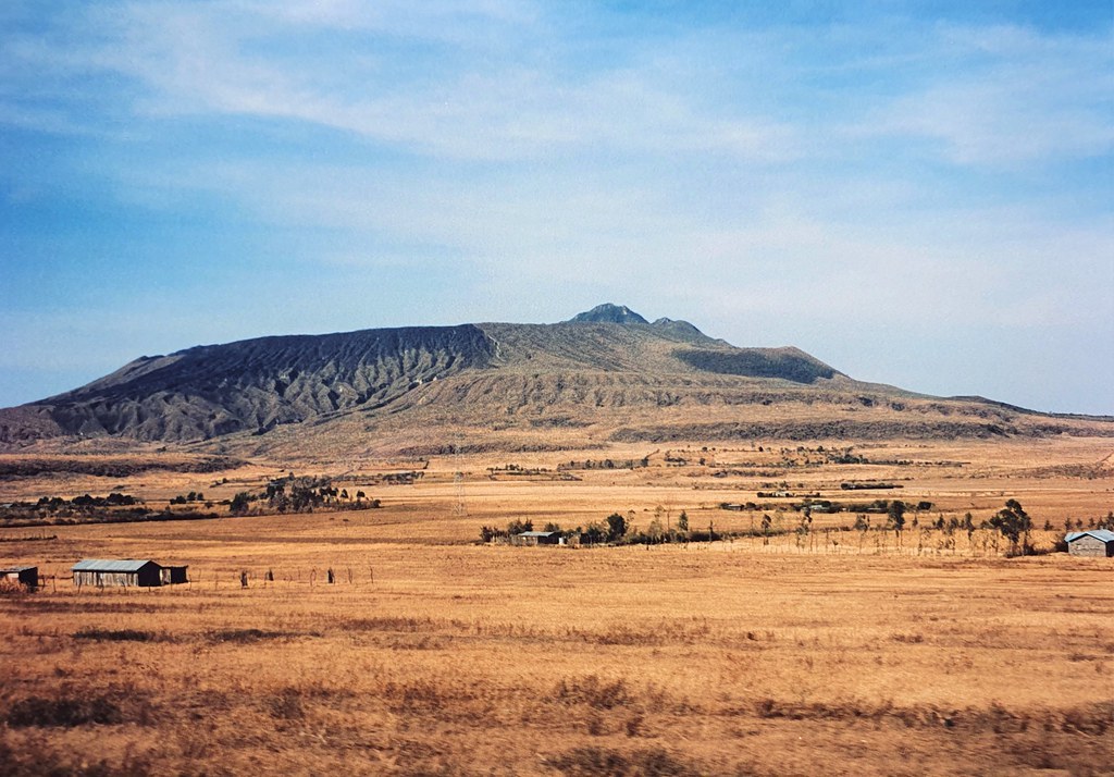 Enguani