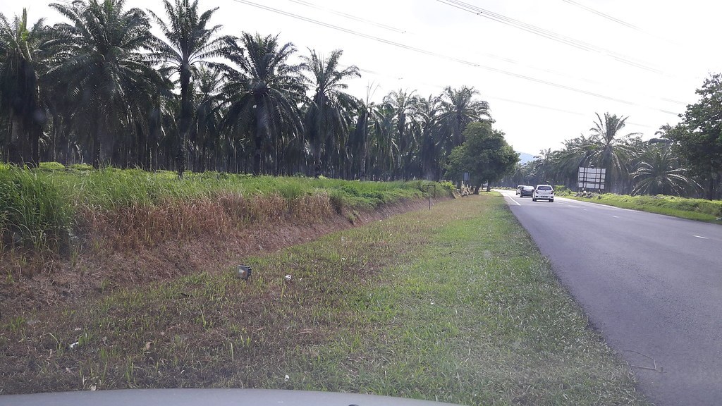 Bukit Kupong