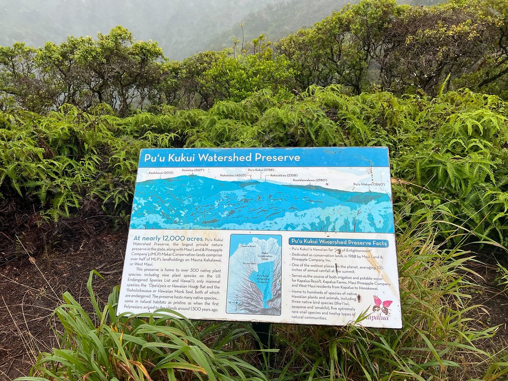 Moʻoloa