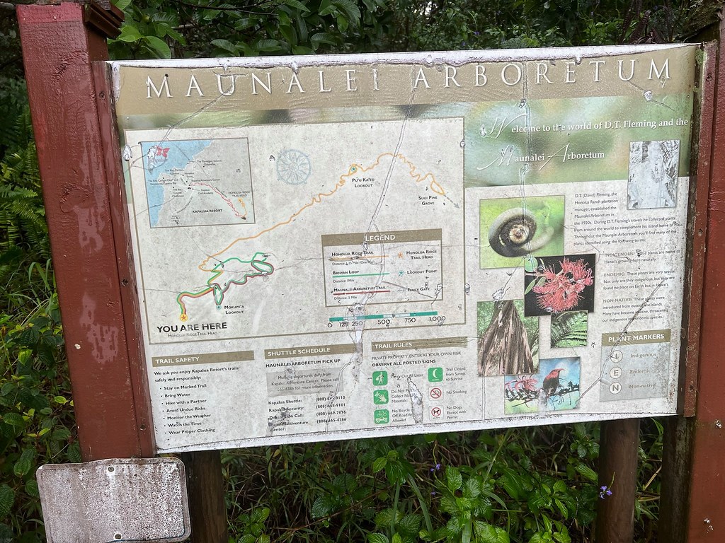 Kepoʻokoholua