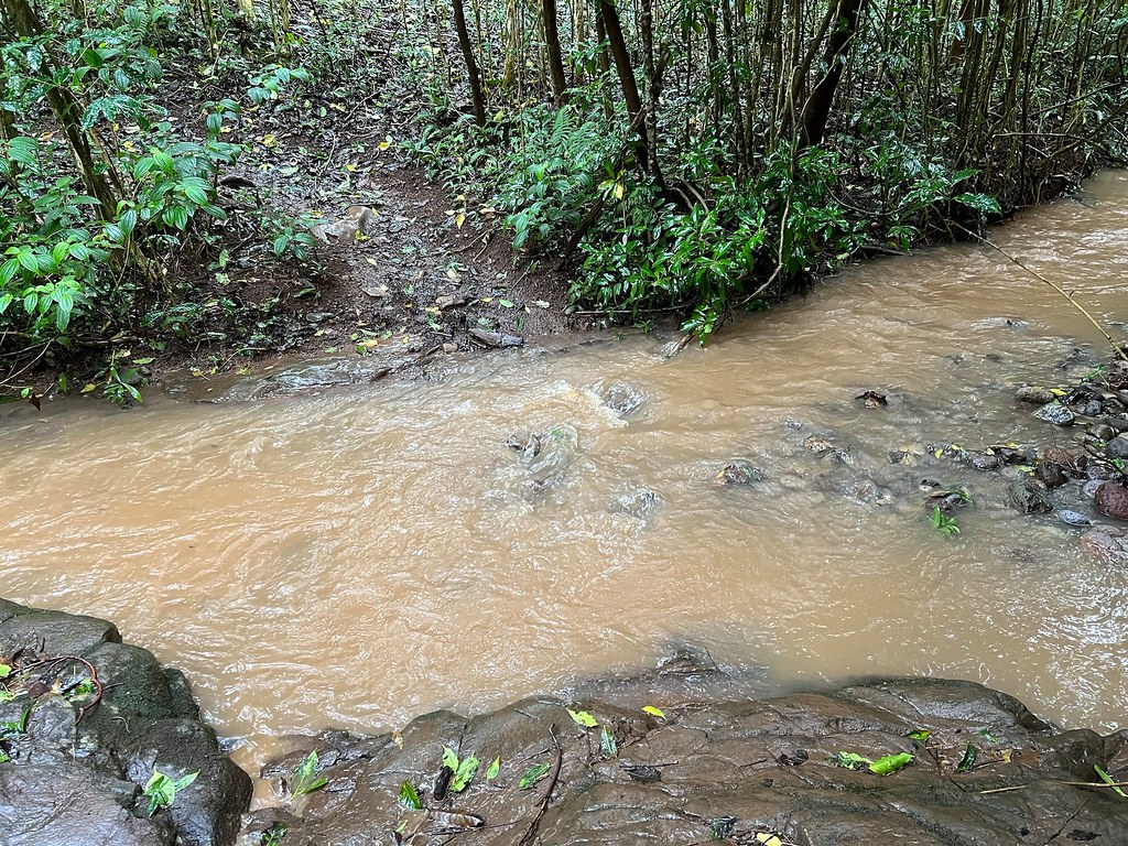 Kaimumanō
