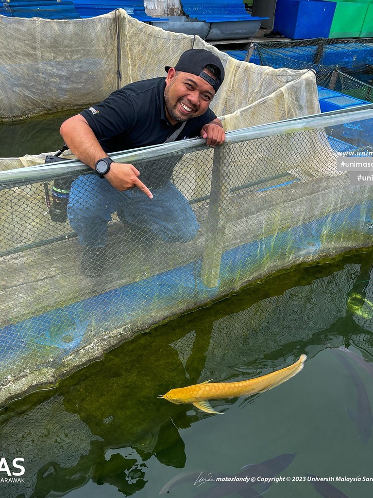 Bukit Tiang Laju