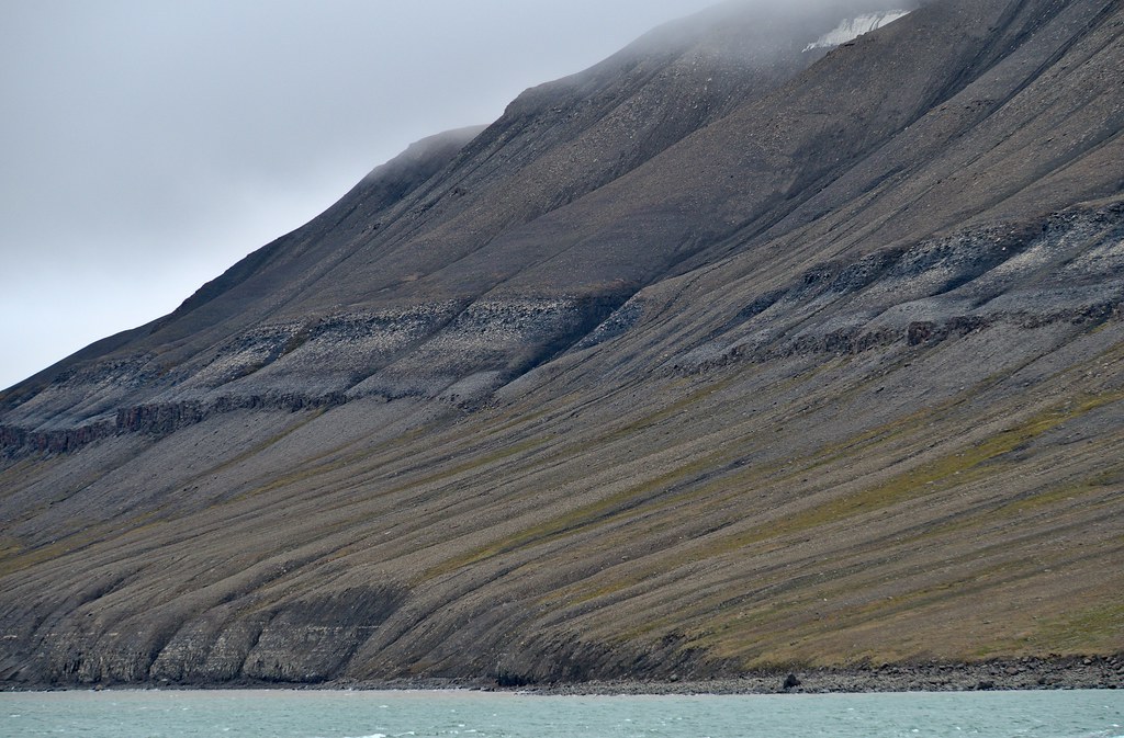 Freemanbreen