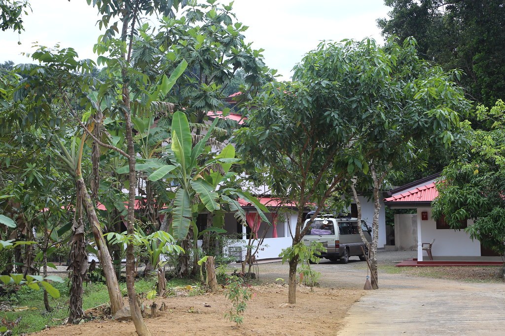 Aukenagala