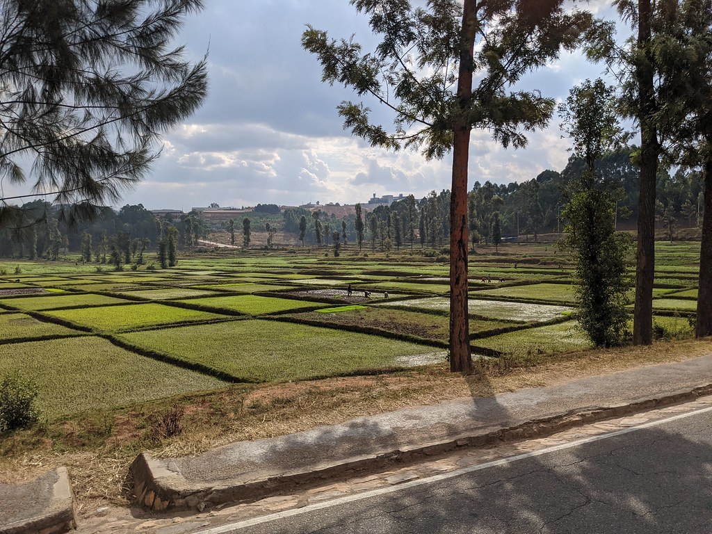 Nyarutovu