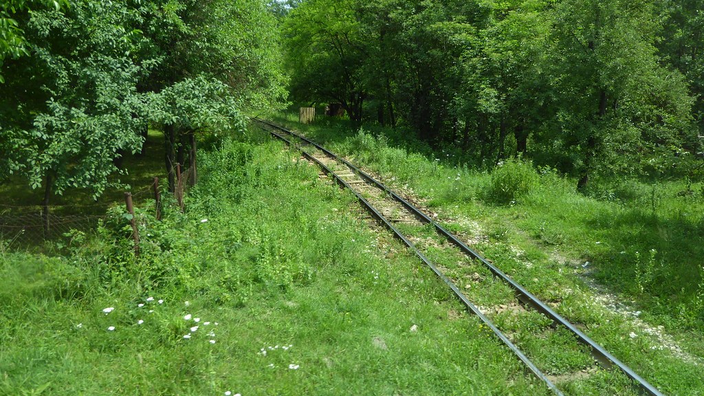 Nauruțu
