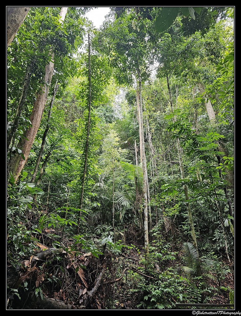 Bukit Keban